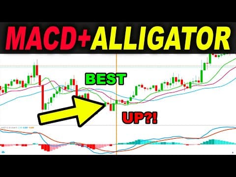 BEST and Proper Way to use MACD Alligator Trading Strategy